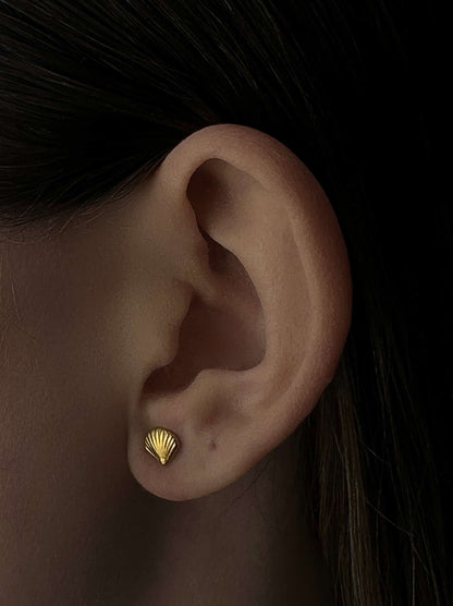 Shell gold steel earrings