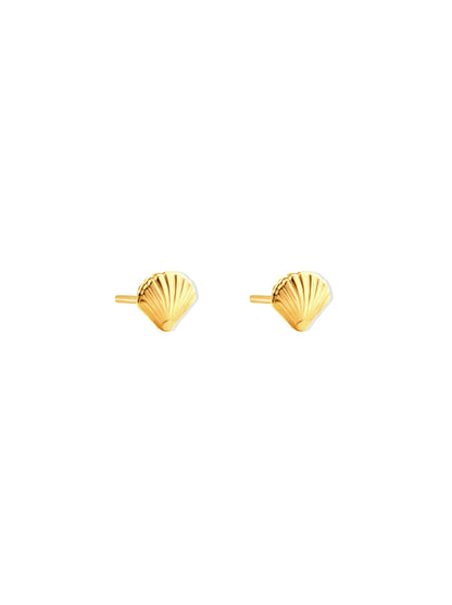 Shell gold steel earrings