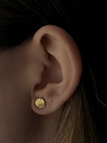 Shell gold steel earrings