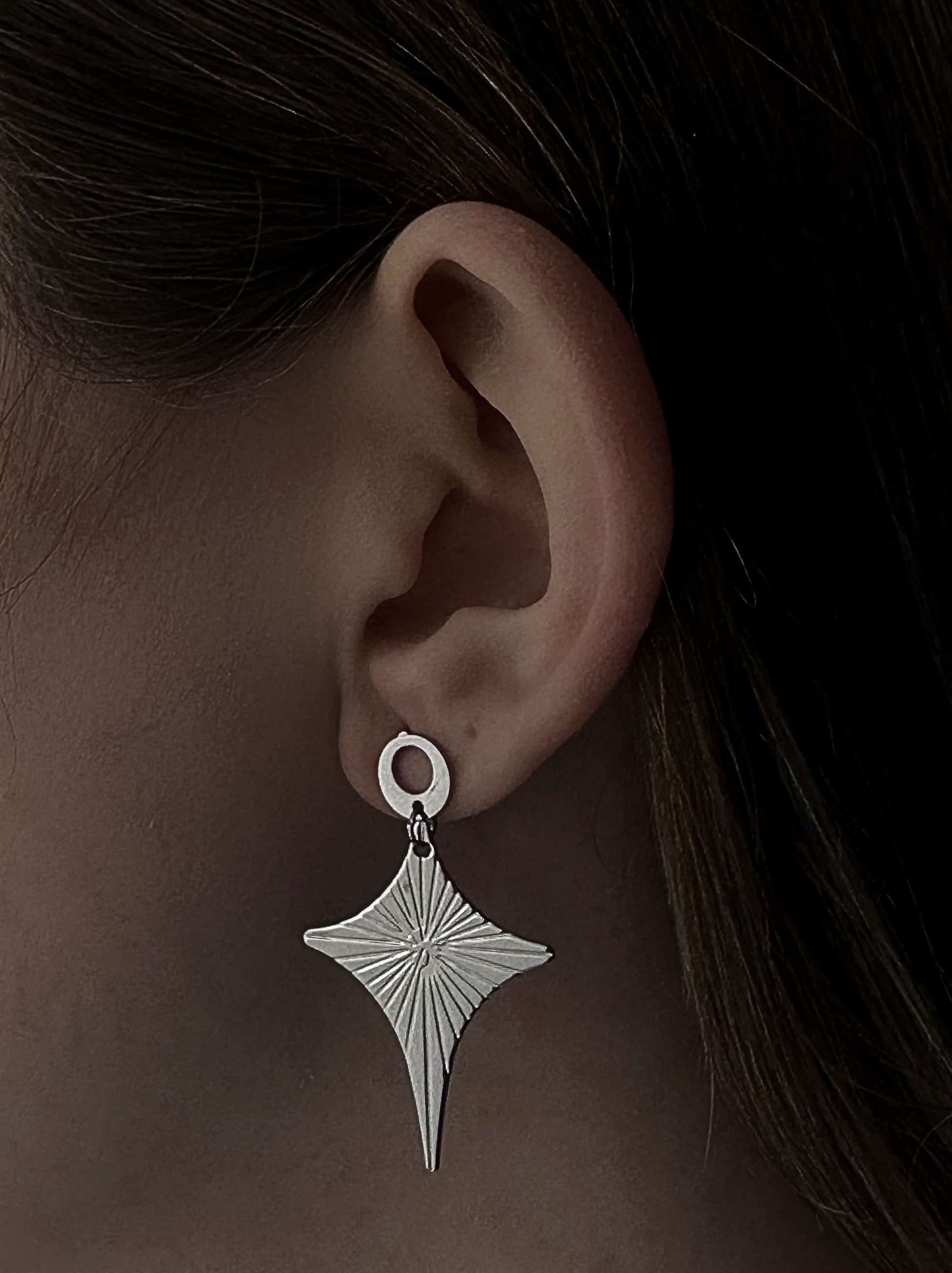 Silver steel earrings