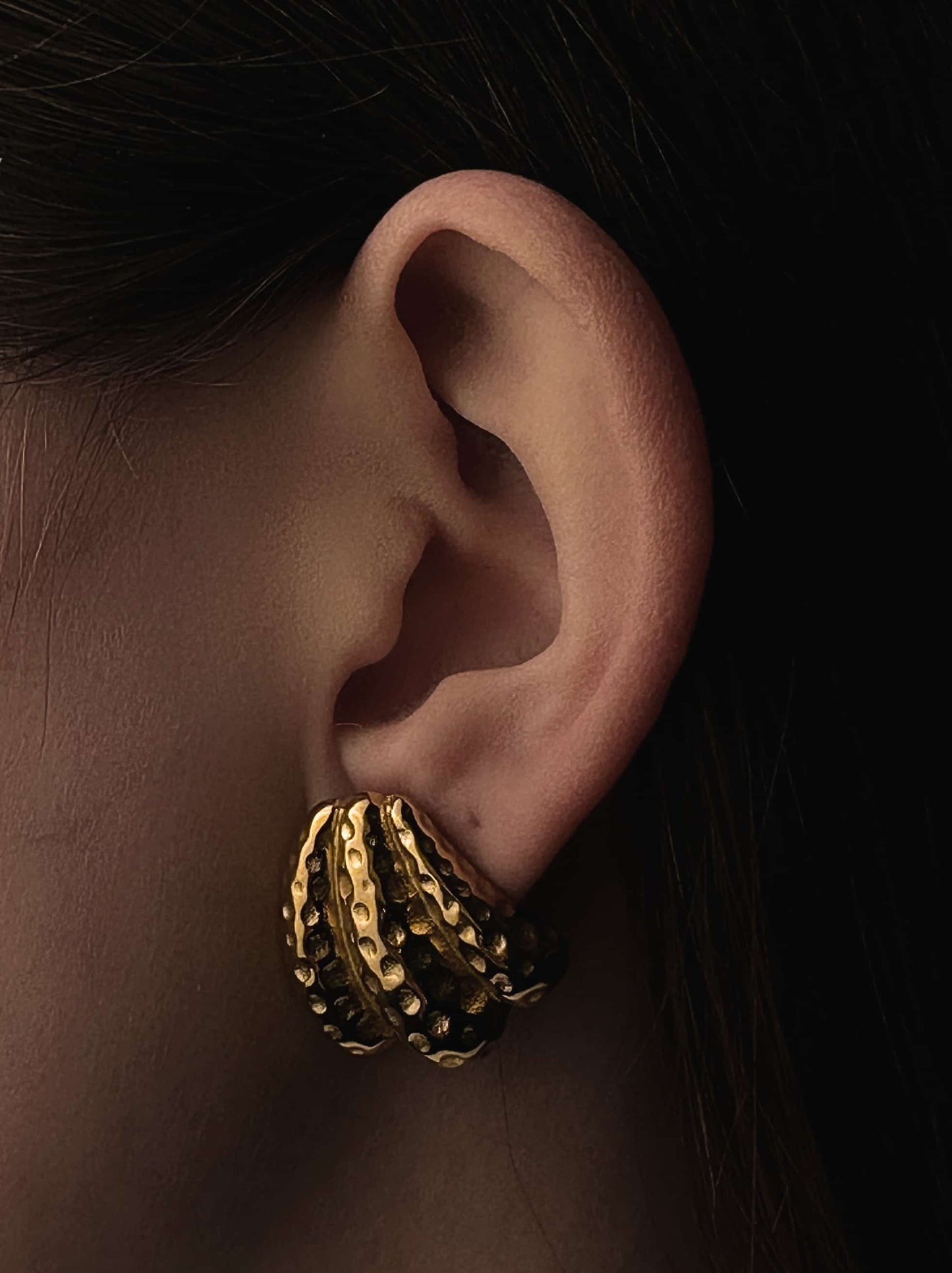 Shell gold steel earrings